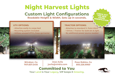 night harvest light